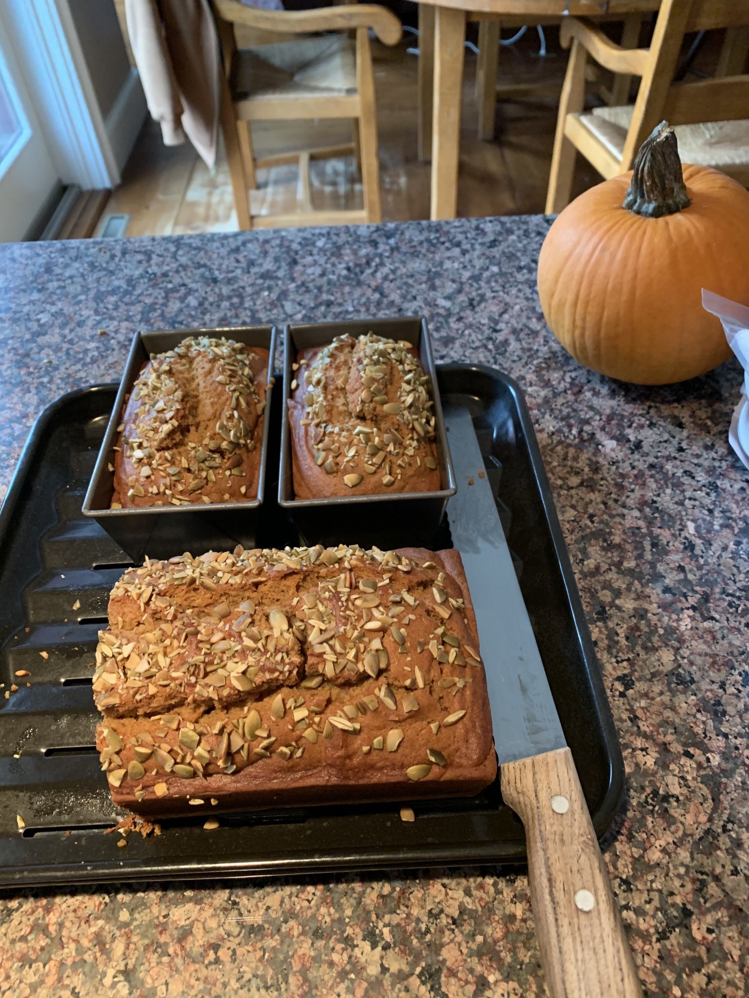 Pumpkin Bread.jpg