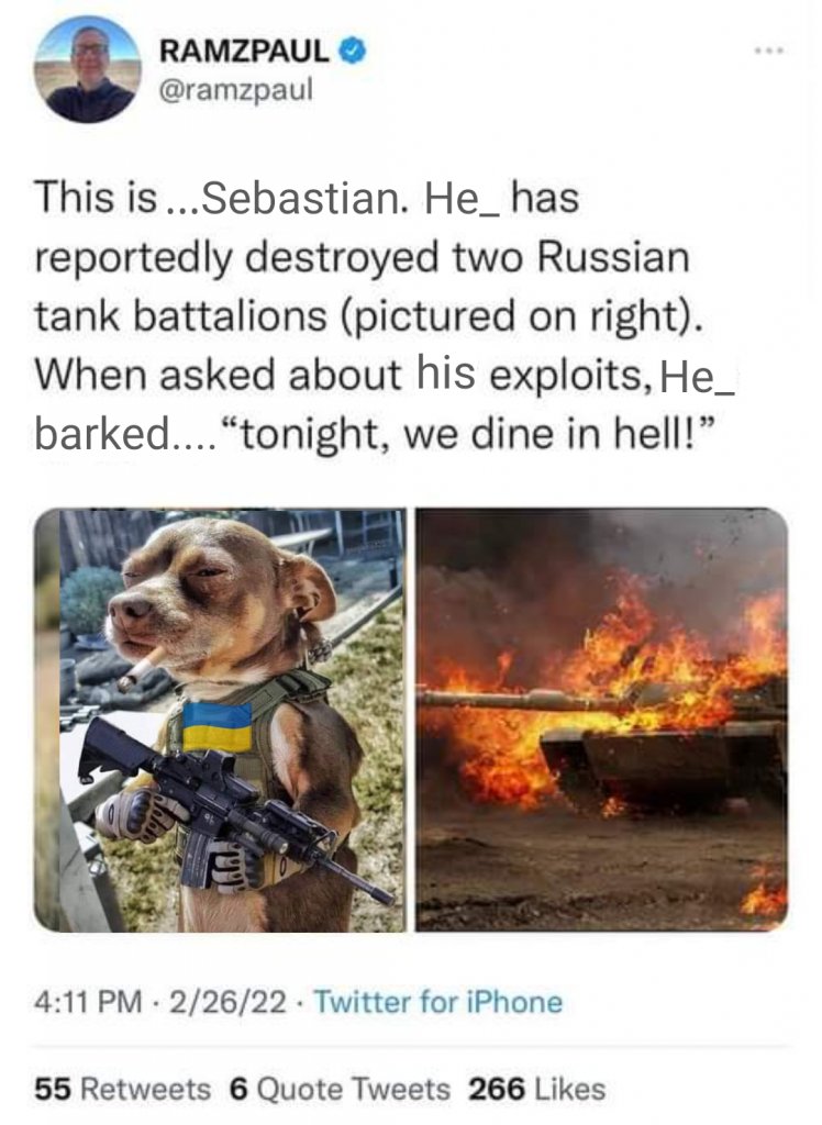 pup.jpeg