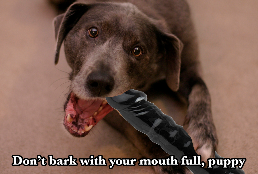 puppy_chewing_dildo.png