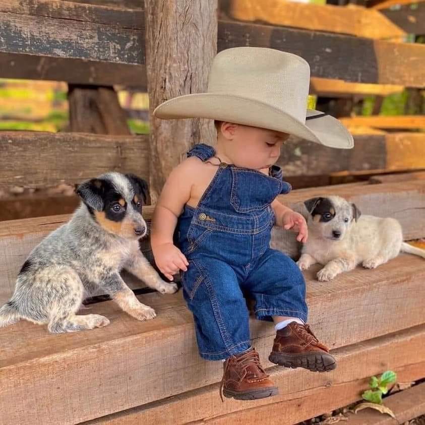 pups baby.jpg