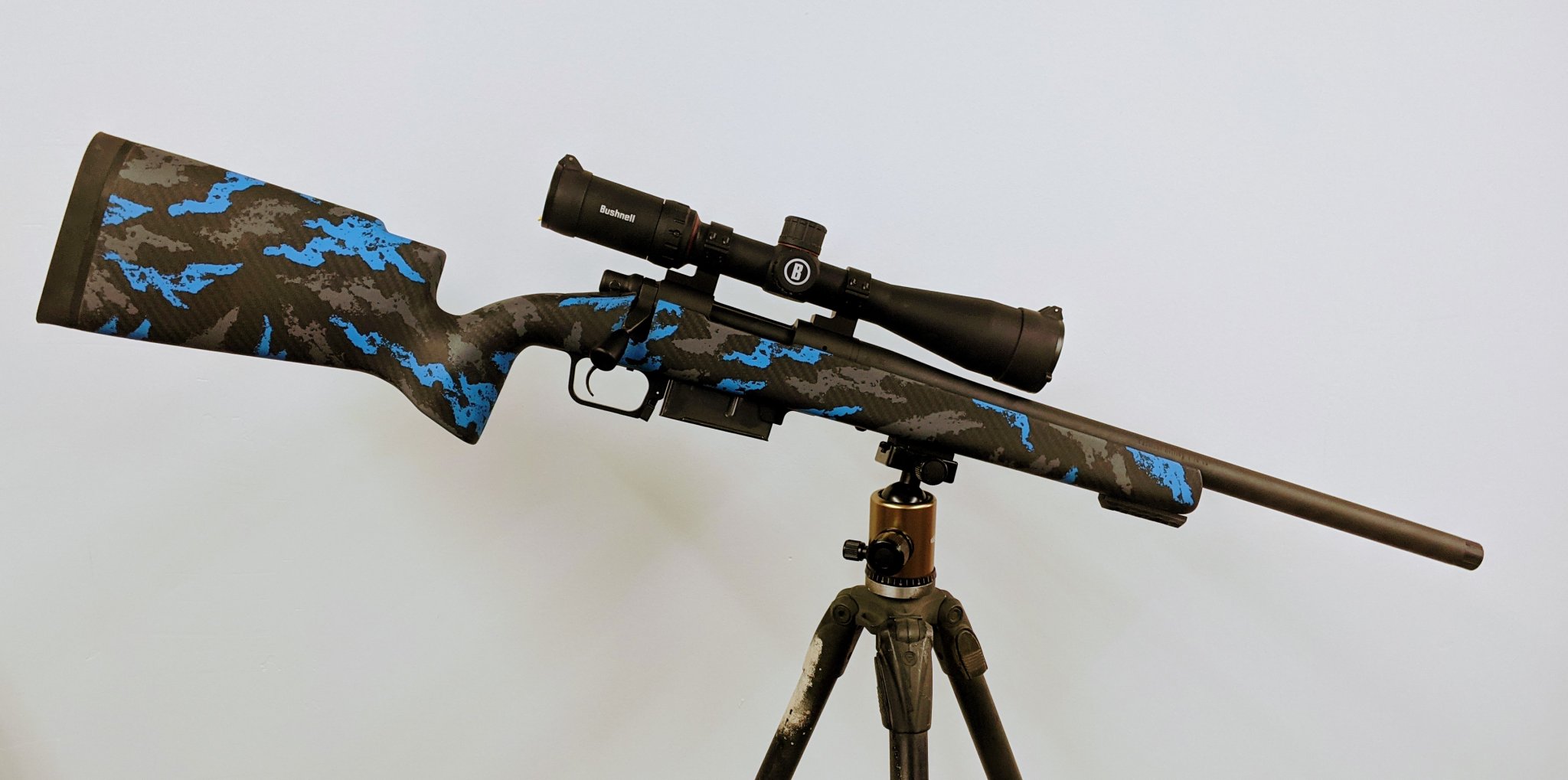 PXL-20201230-193453480.jpg