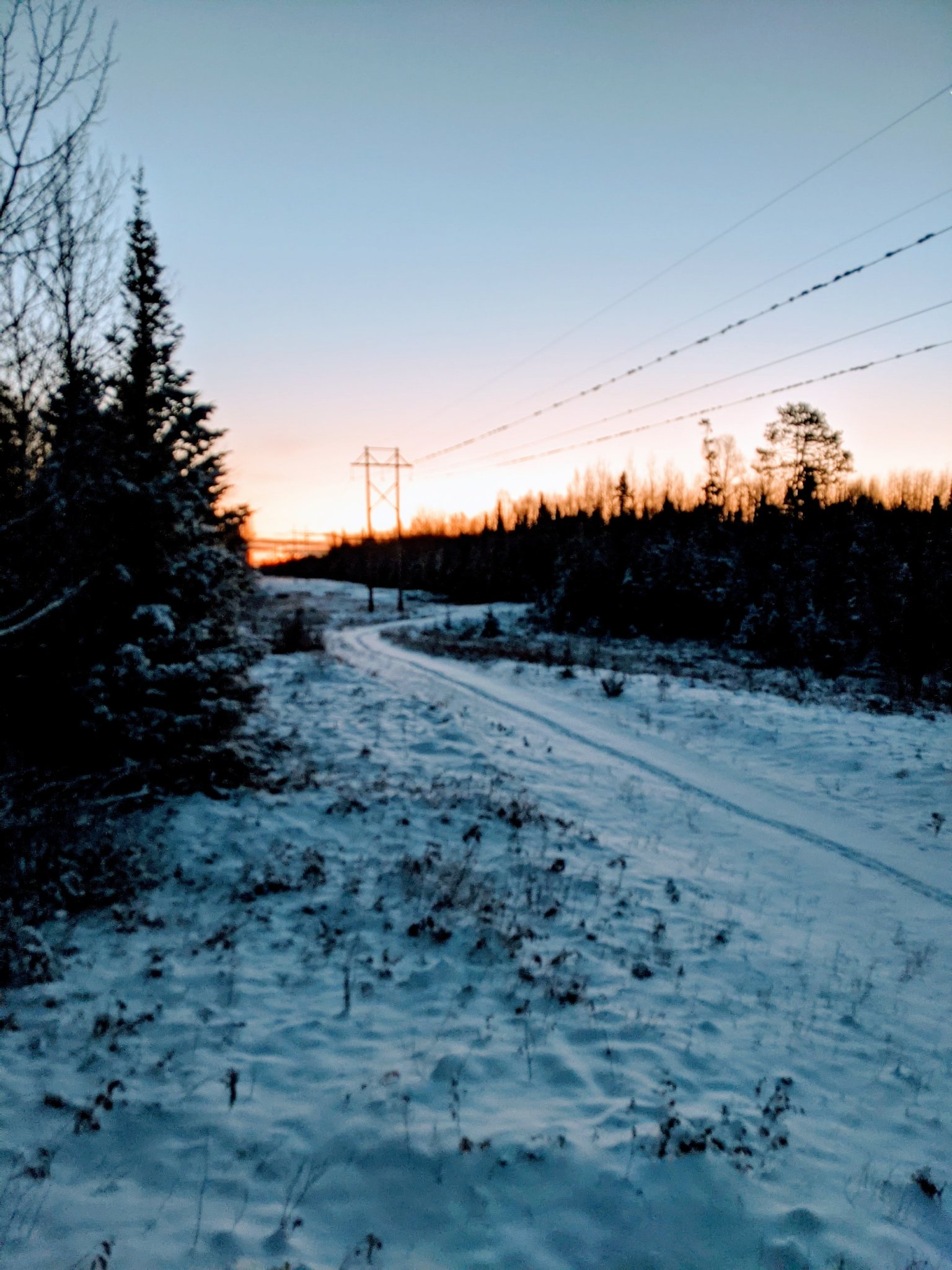 PXL_20201111_123827268.jpg