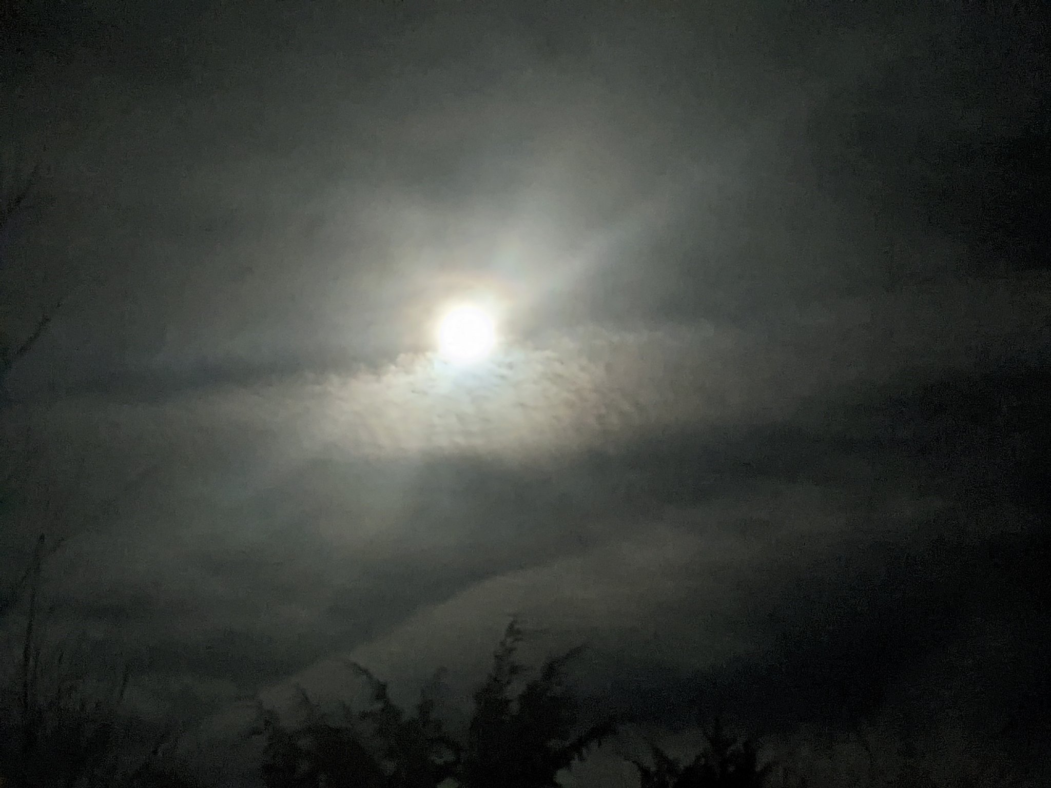 PXL_20201231_011414774.MP.jpg