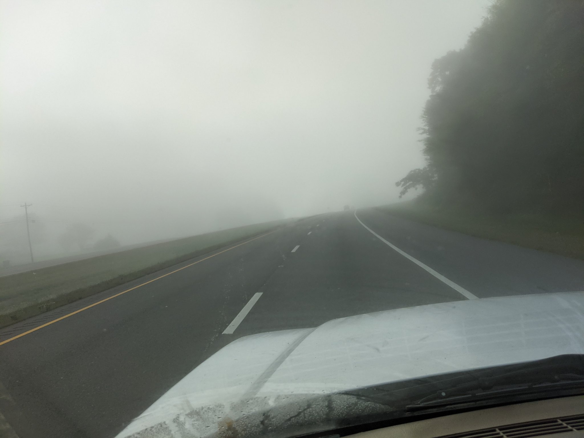 PXL_20211015_125218675.jpg