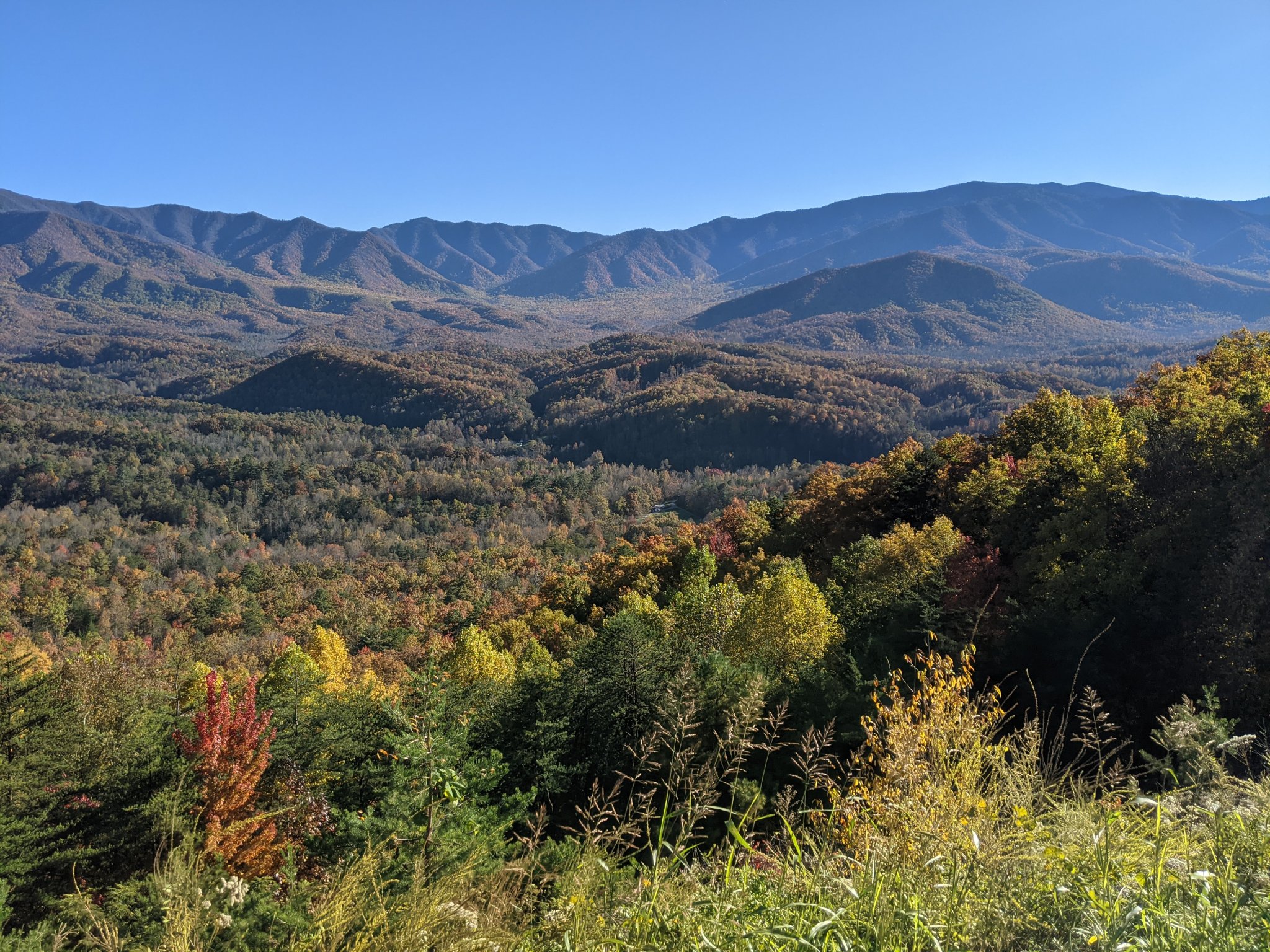PXL_20211107_201839059.jpg