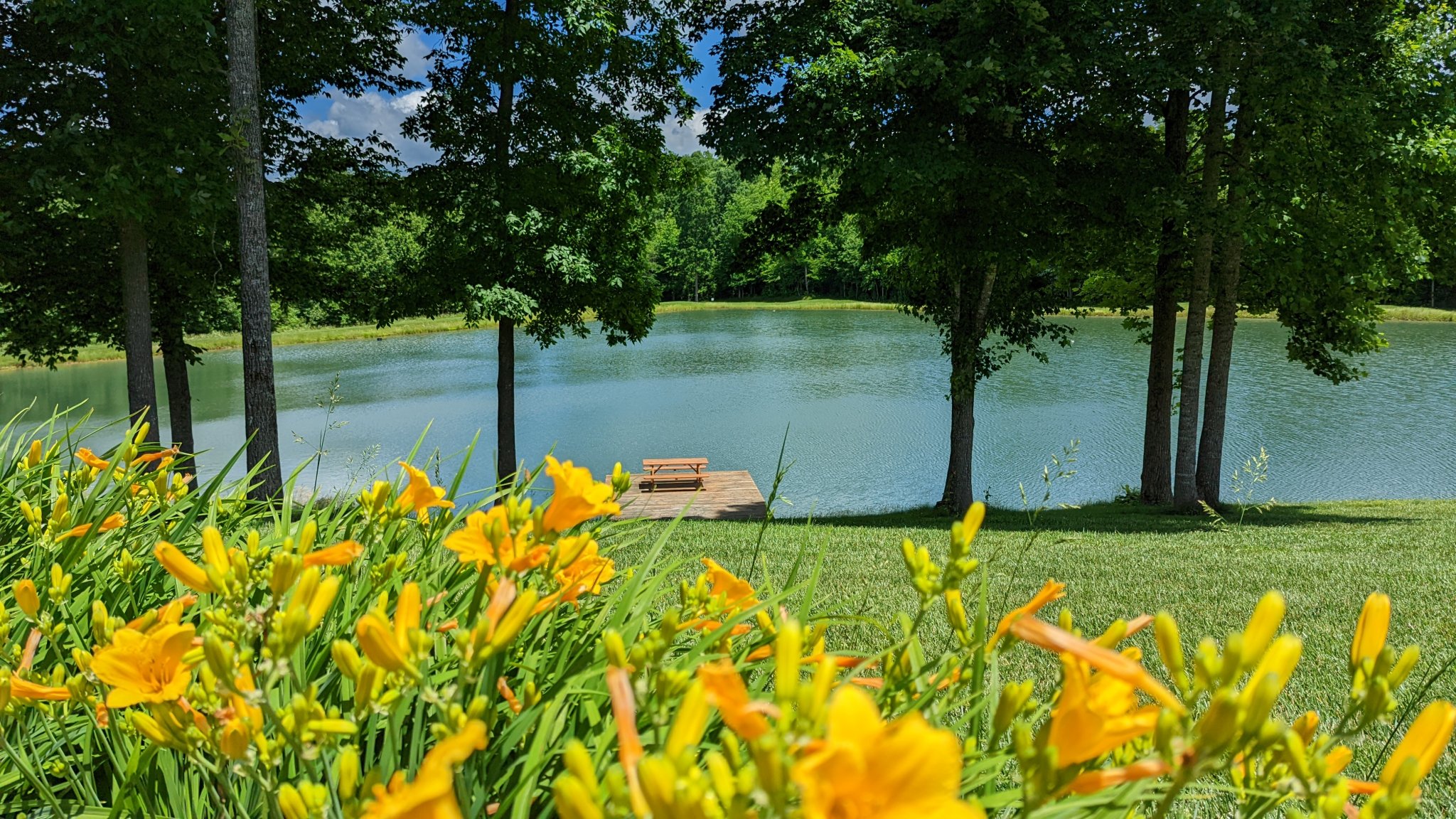 PXL_20220528_165605229.jpg