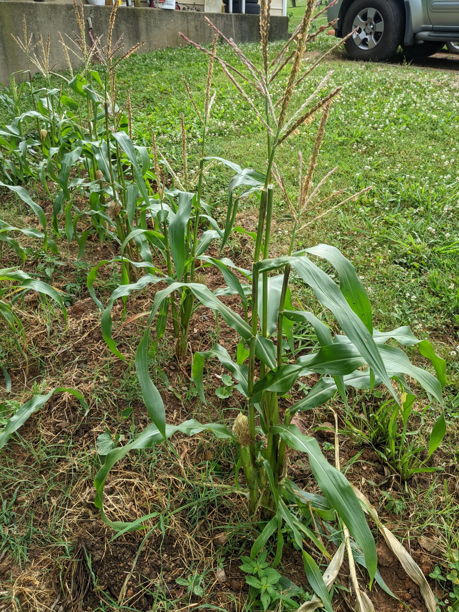PXL_20220617_203744901.jpg