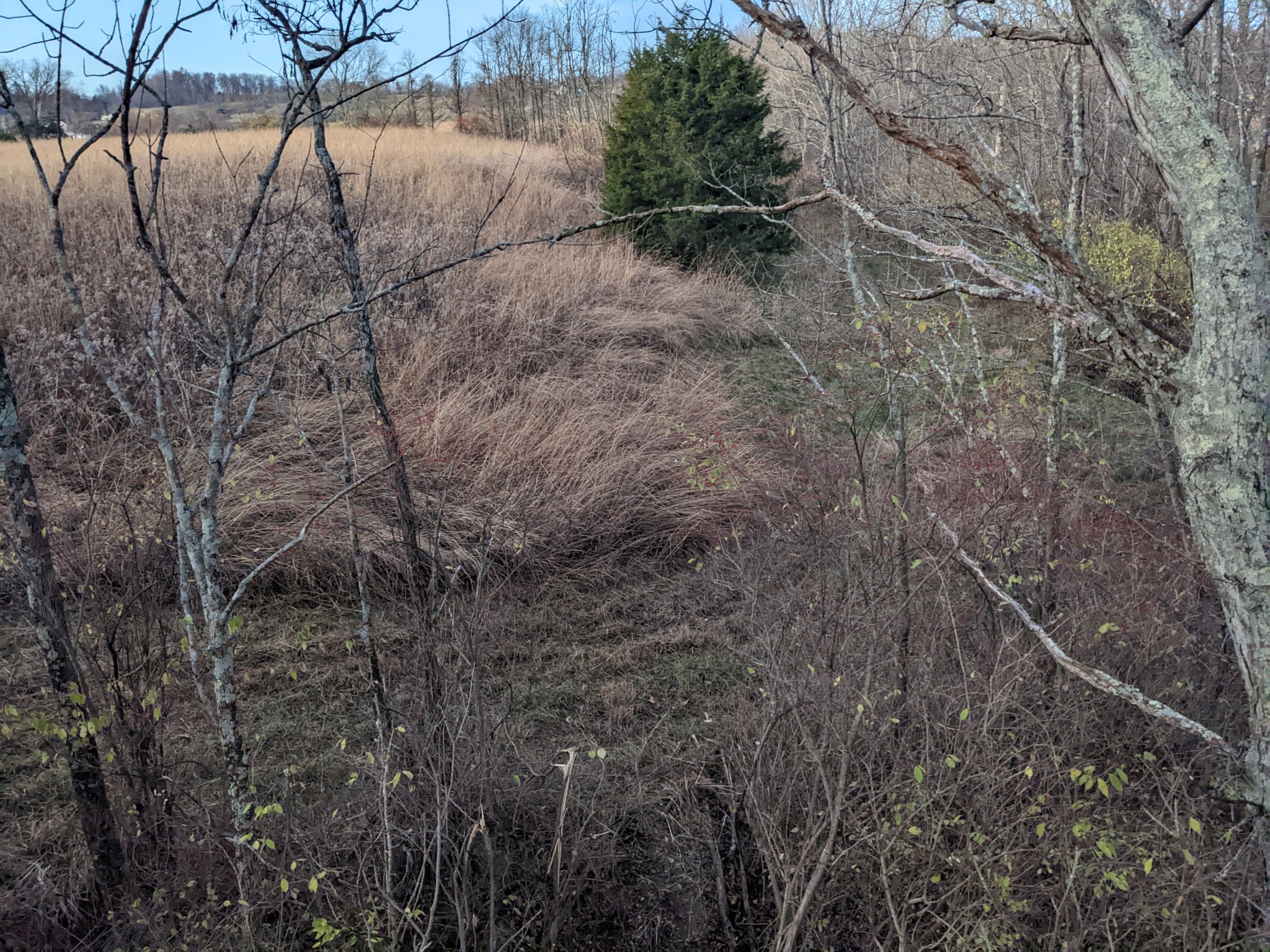PXL_20221110_115322345.jpg