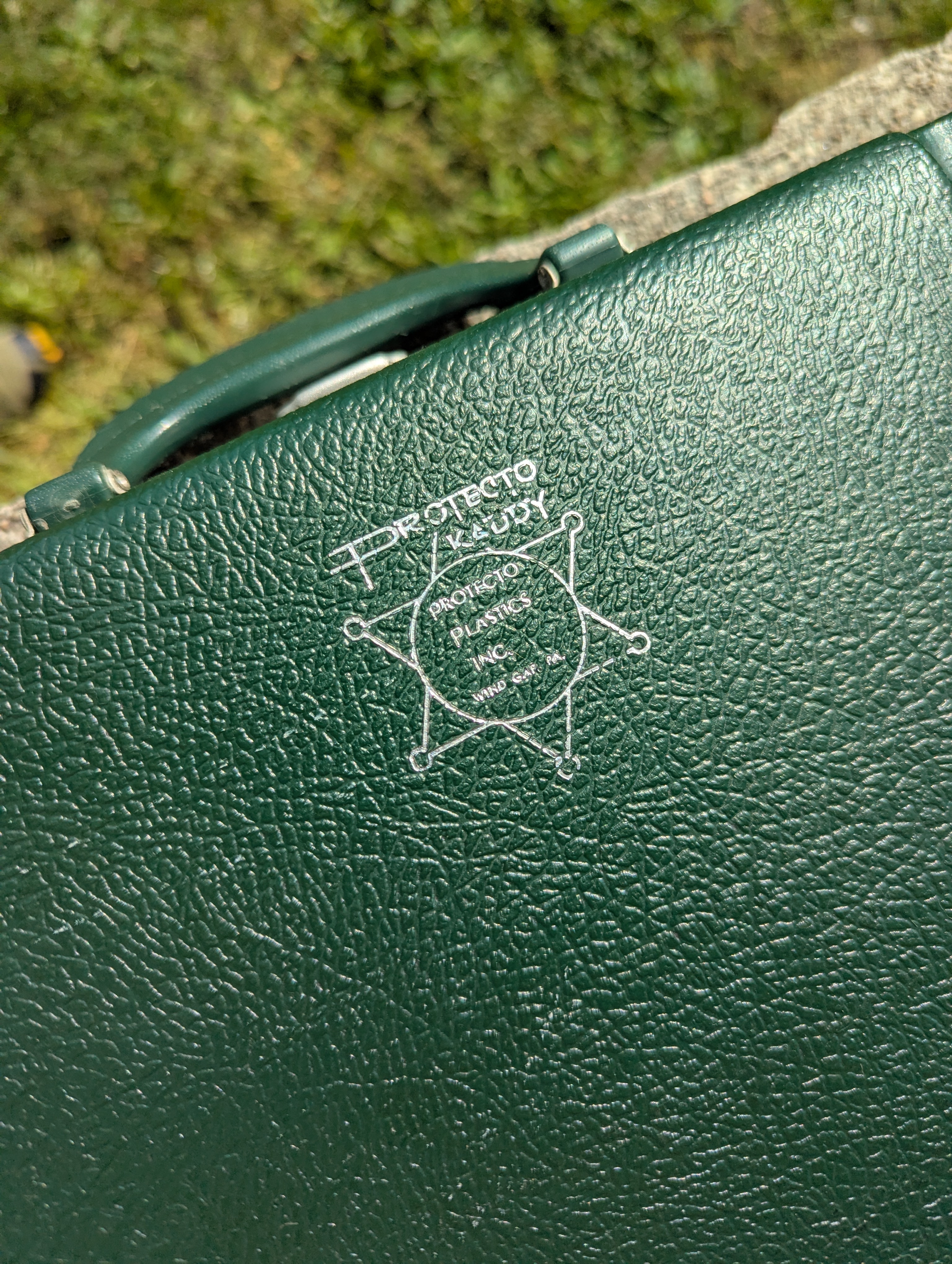 PXL_20250424_144242688.jpg