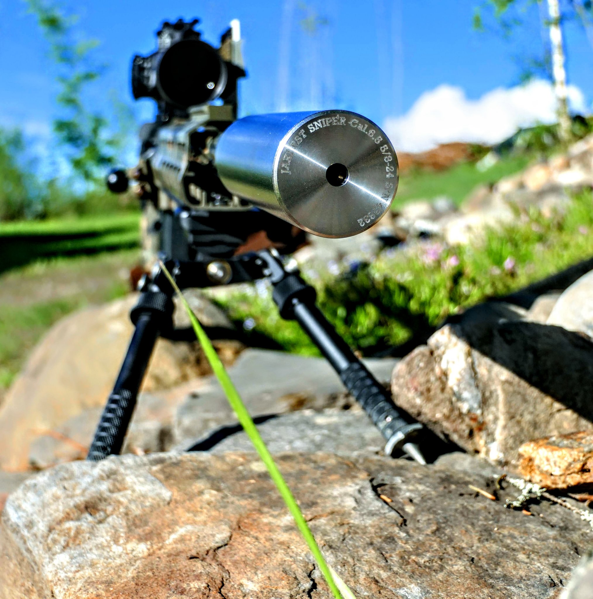 R29.JPG
