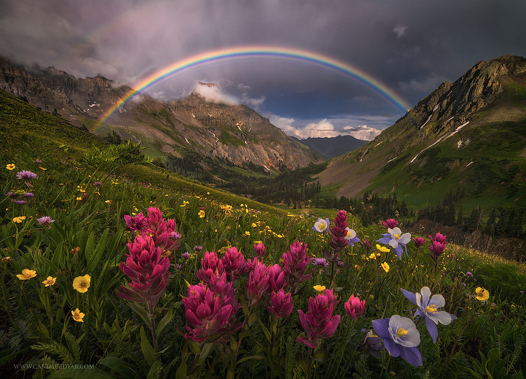 rainbow.jpeg