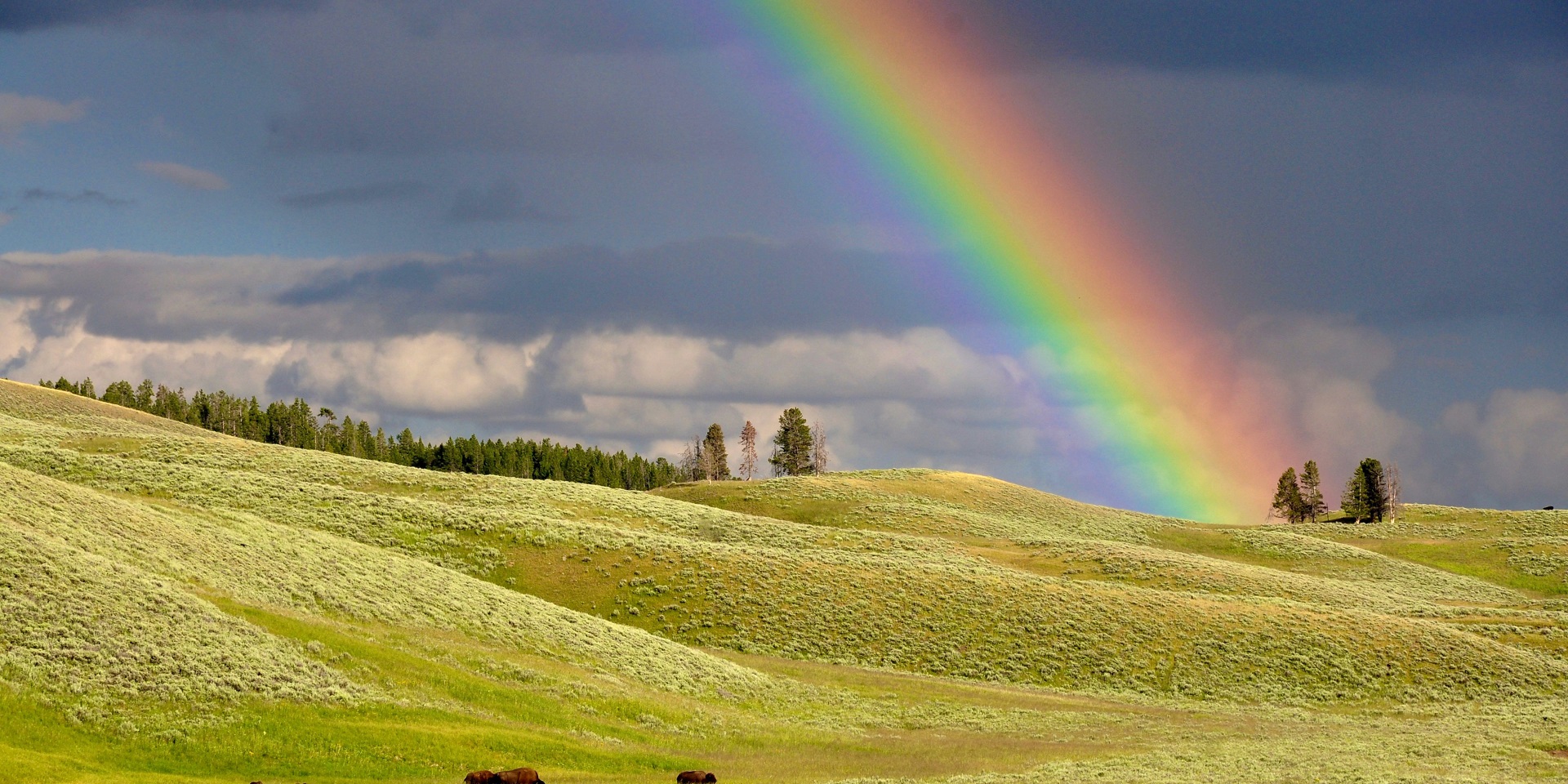 rainbow-over-the-yellowstone-landscape-in-wyoming.jpeg