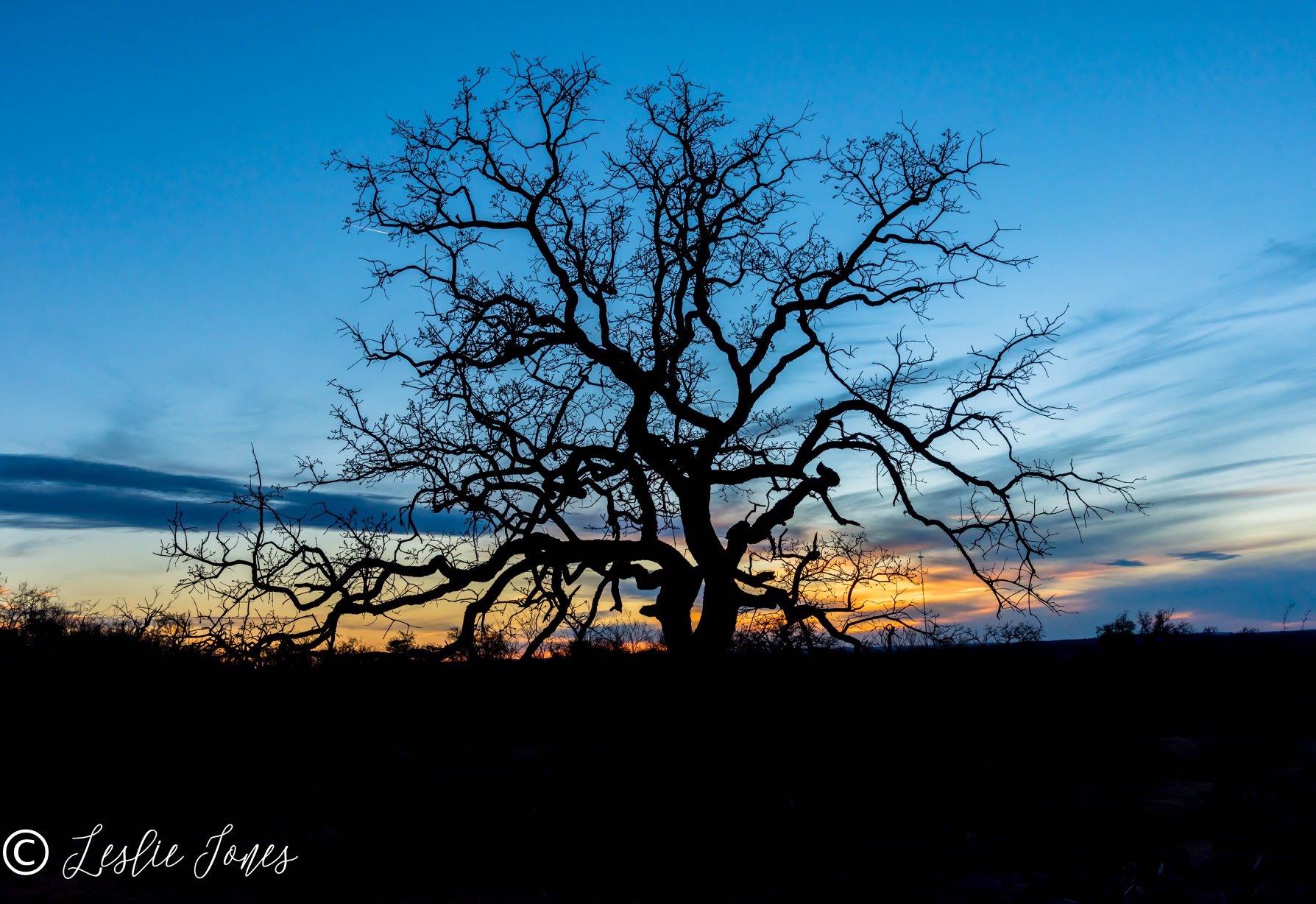 ranch at dusk.jpg