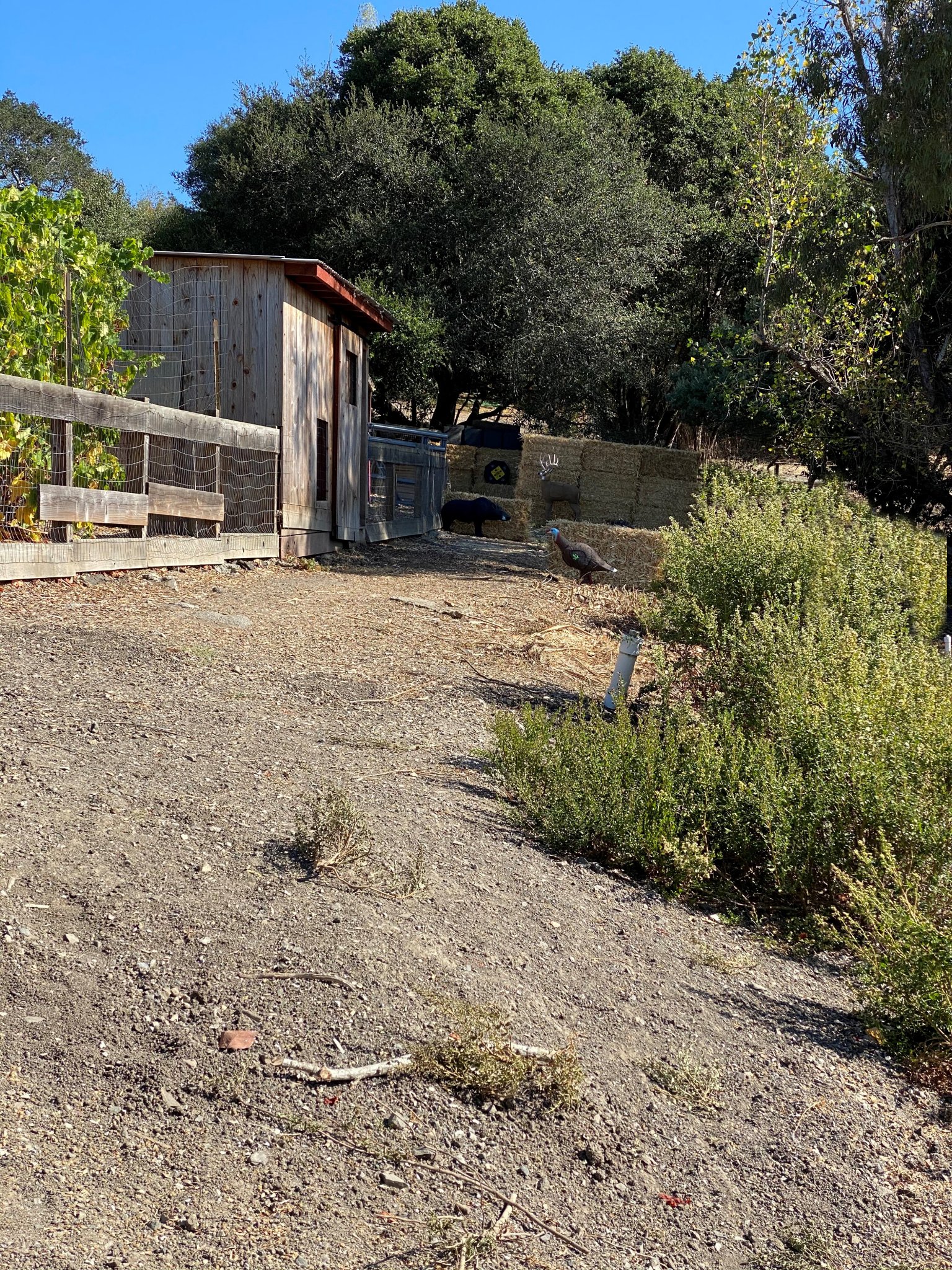 Range @ 200 Cuesta.jpg