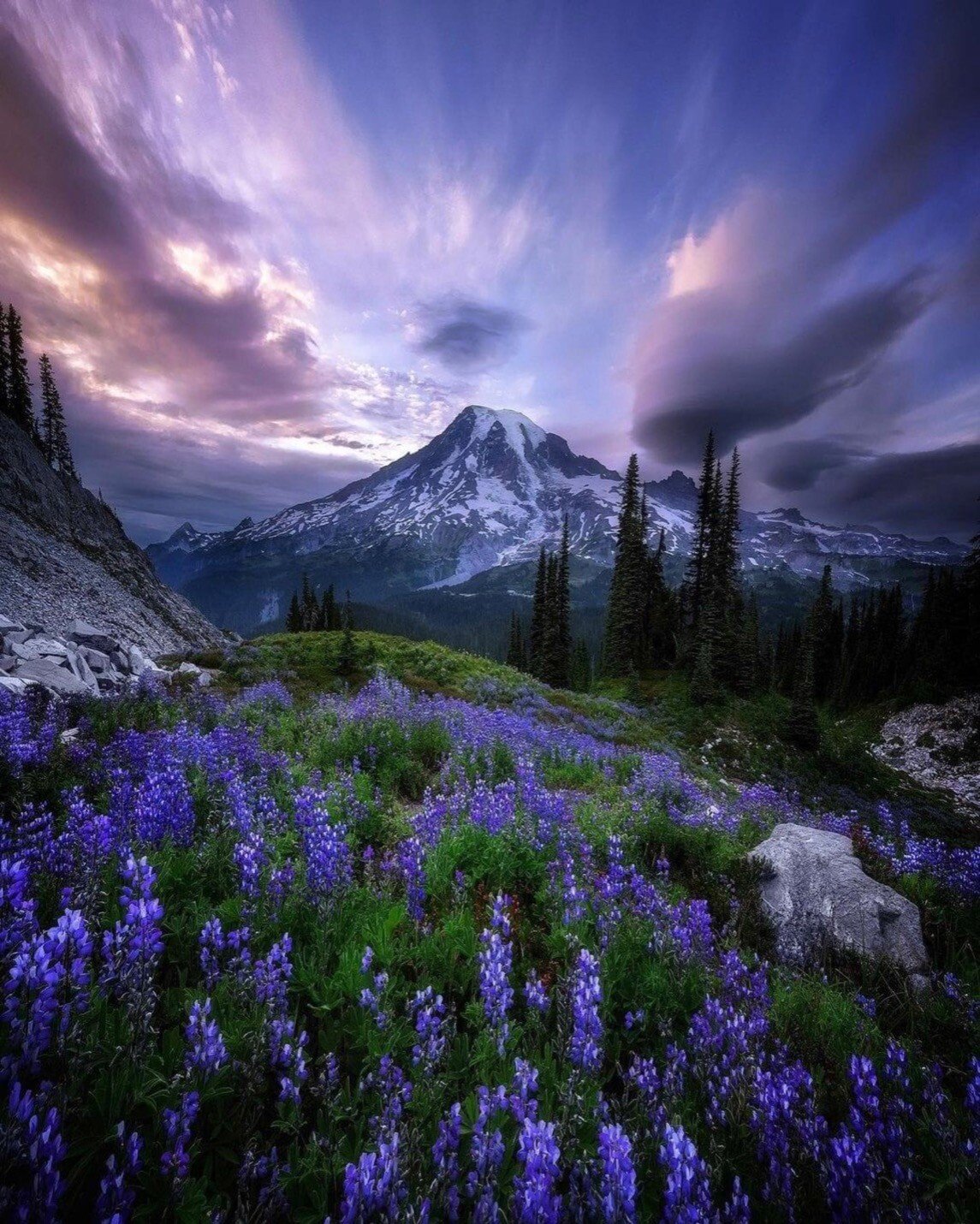 ranier.jpeg