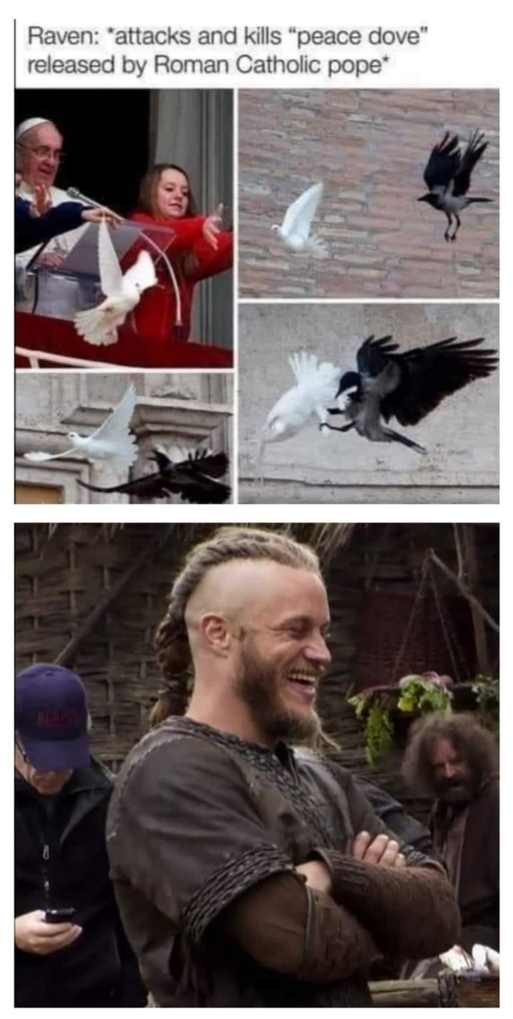 ravens.jpg