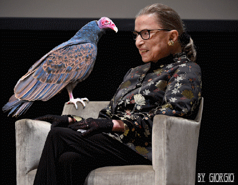 RBG and her pet.gif