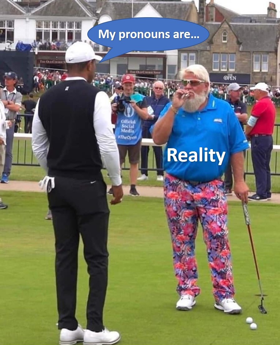 Reality v pronouns.jpg