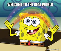 RealWorld.jpg