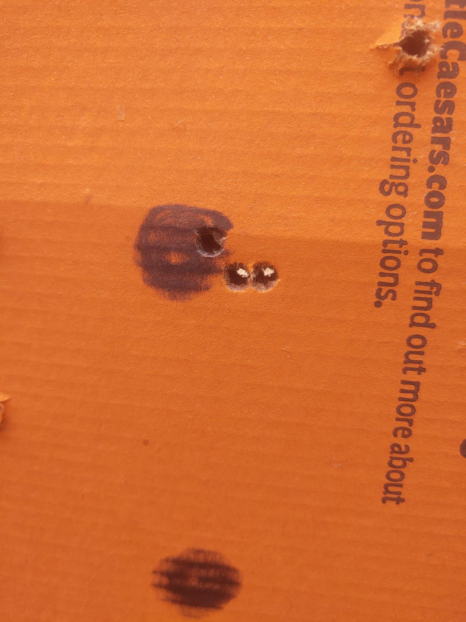 received_1042958393001152.jpeg