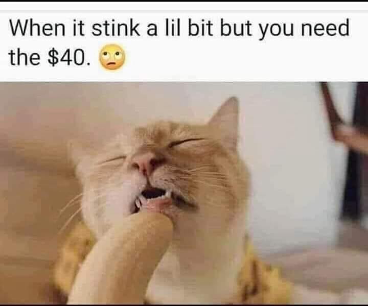 received_1297139137532477.jpeg
