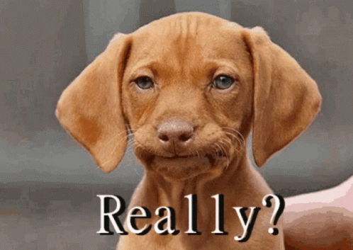 received_2442781439155397.gif