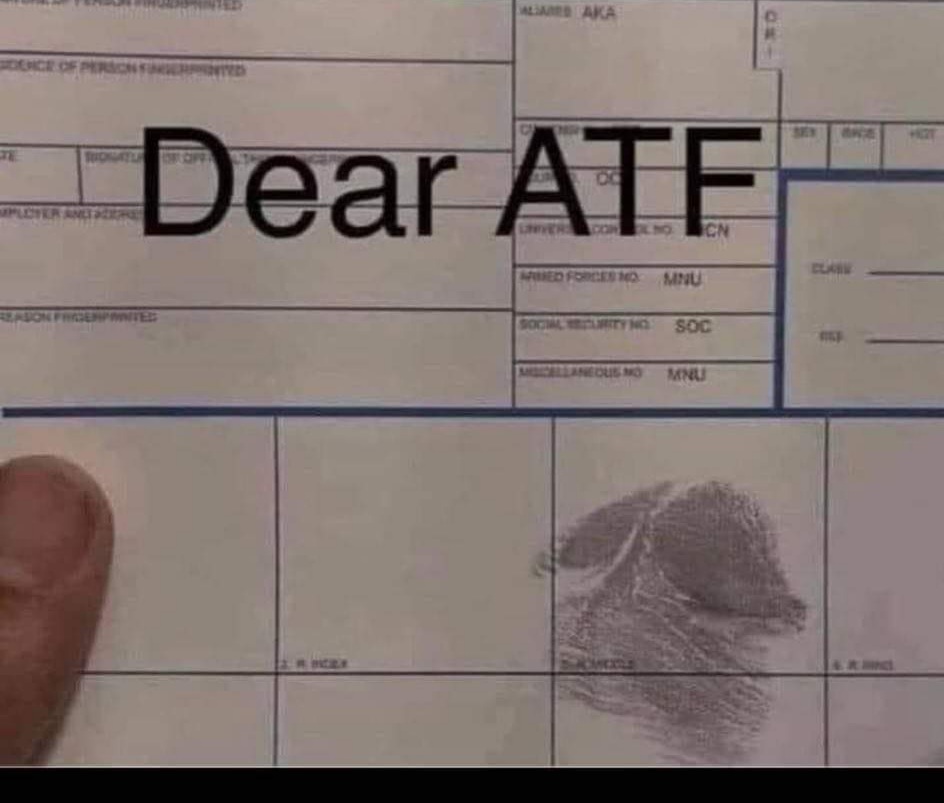 received_262318255245689.jpeg