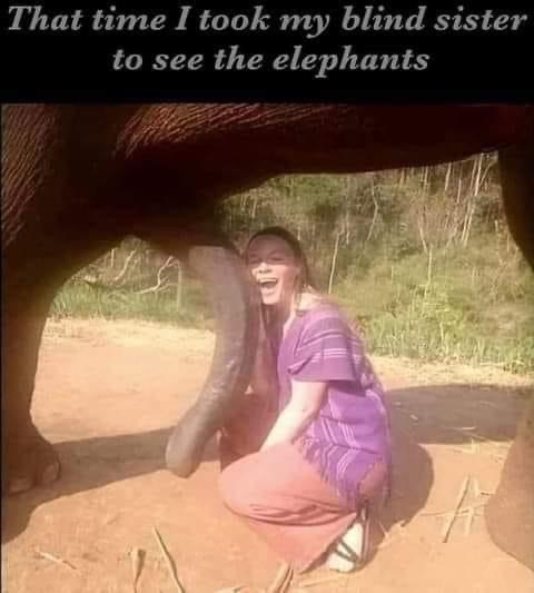received_358129853229104.jpeg
