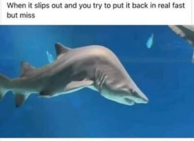 received_393536015880247.jpeg