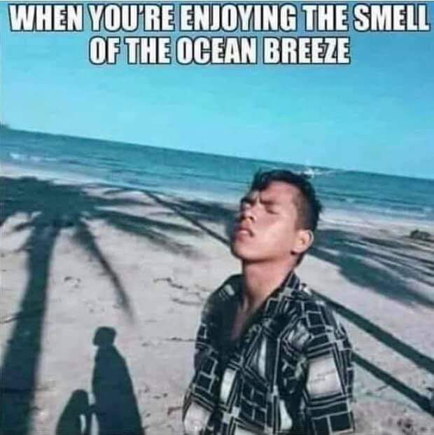 received_426885195055005.jpeg