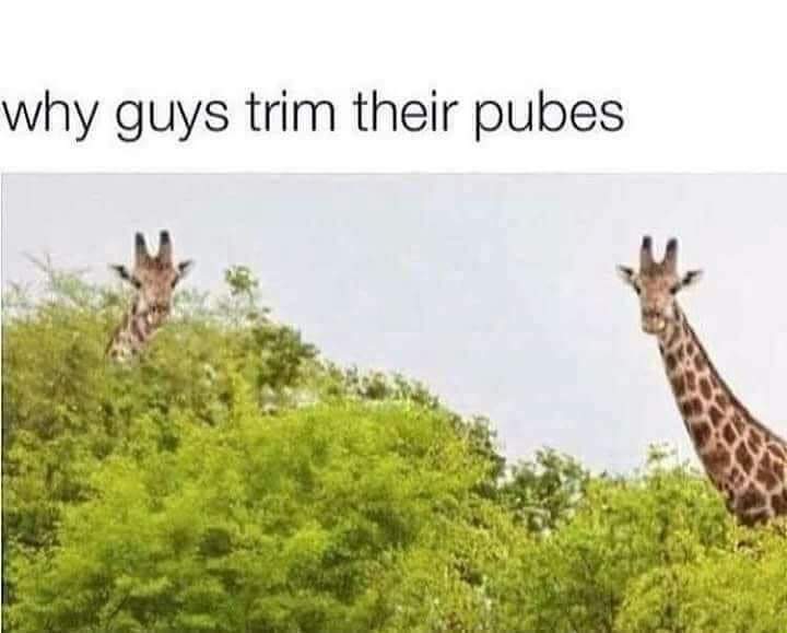 received_479082653207749.jpeg