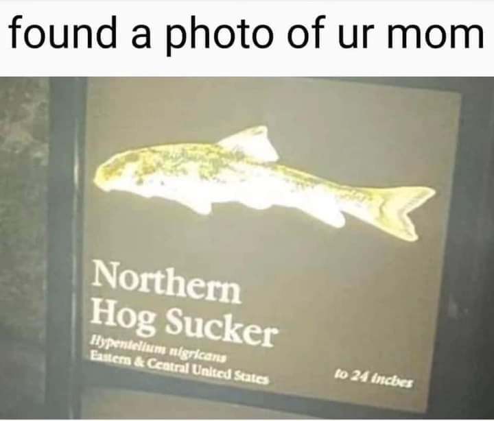 received_6800681906630451.jpeg