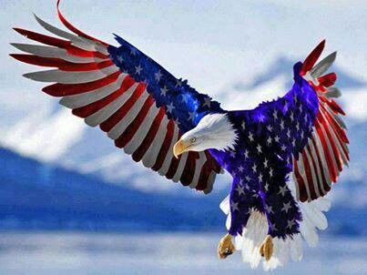 RedWhiteBlueEagle.jpg