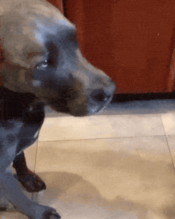 regret-in-its-most-instant-form-17-gifs-6.gif