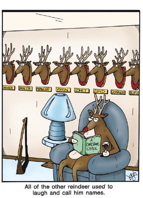 reindeer.jpg