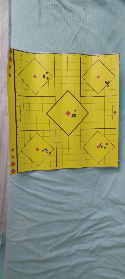 RemyMagpul Target.jpg