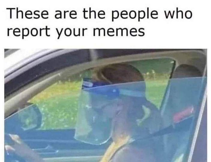 report-your-memes-meme.jpg