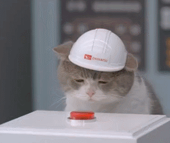 reset.gif