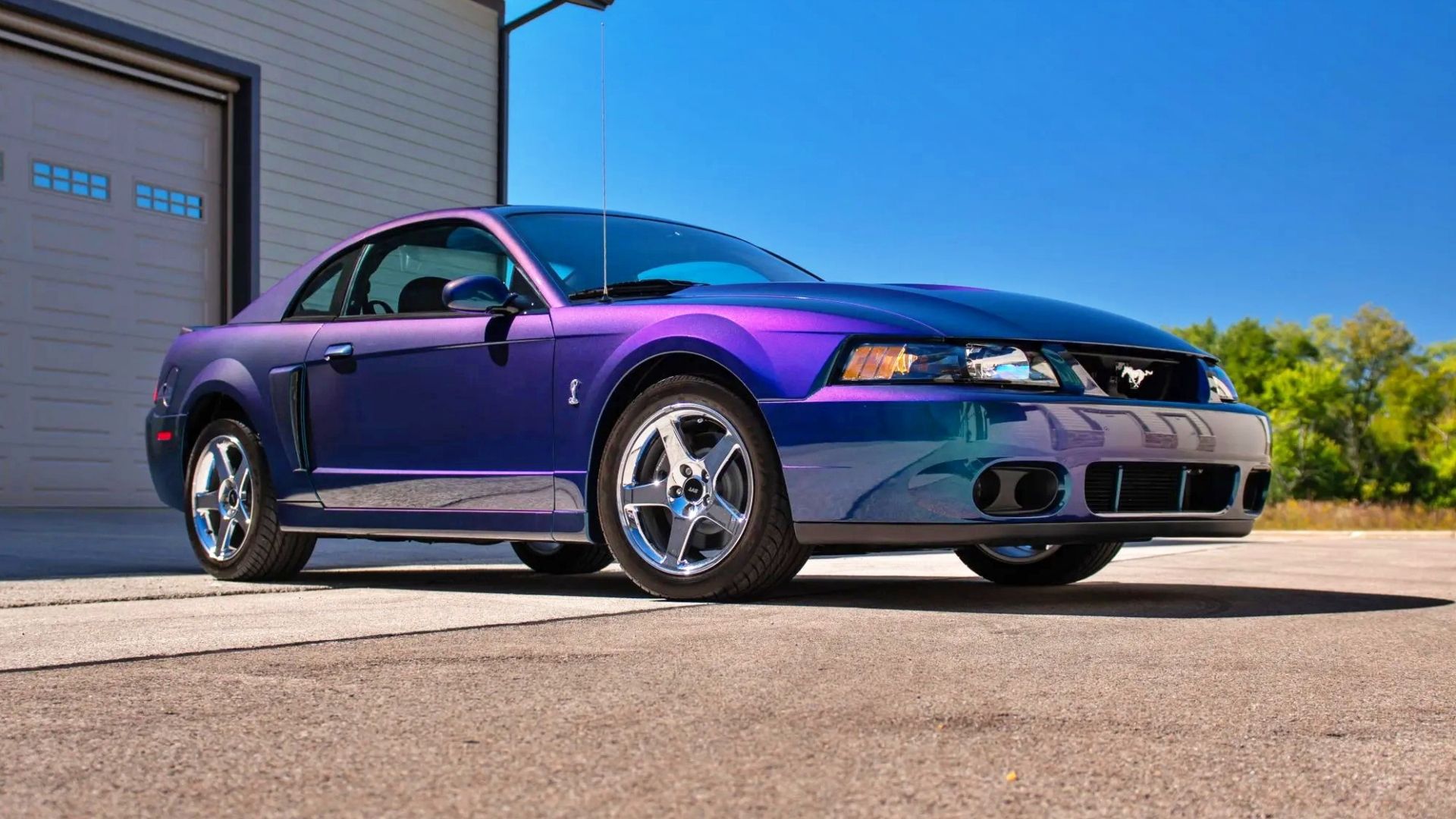 resize_download-9.jpg