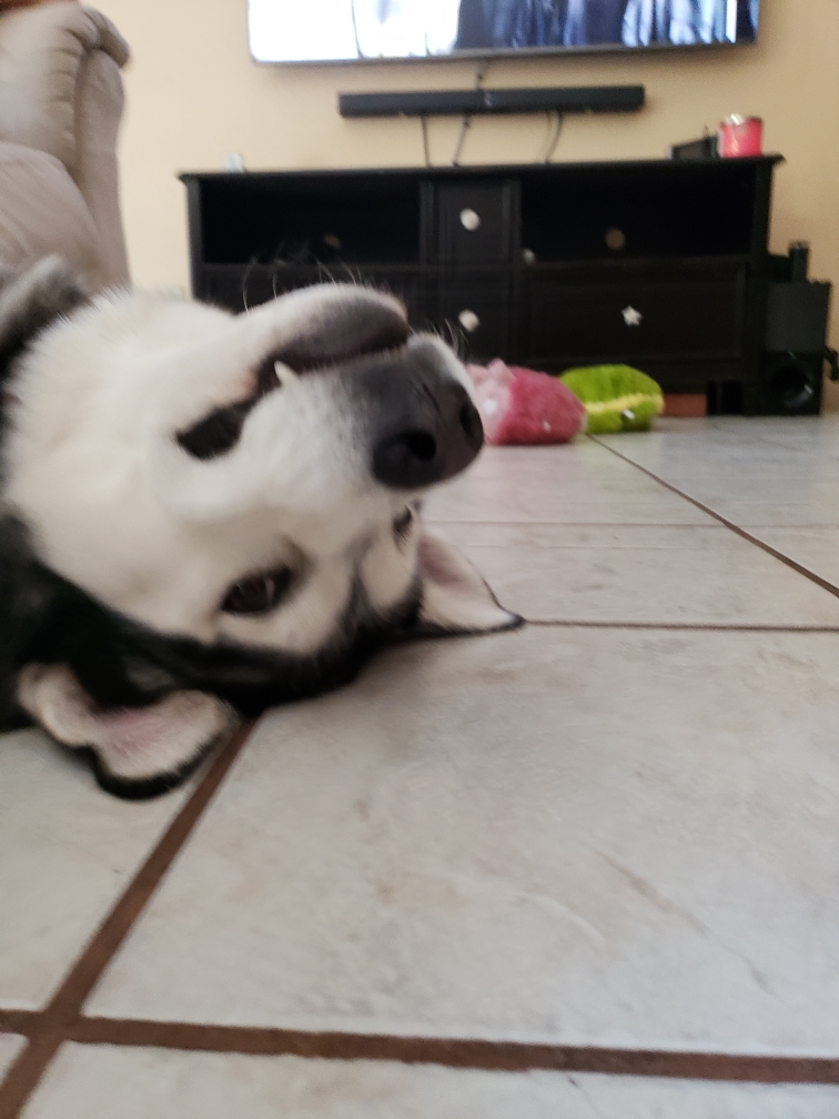 Resized_20180701_125010.jpeg