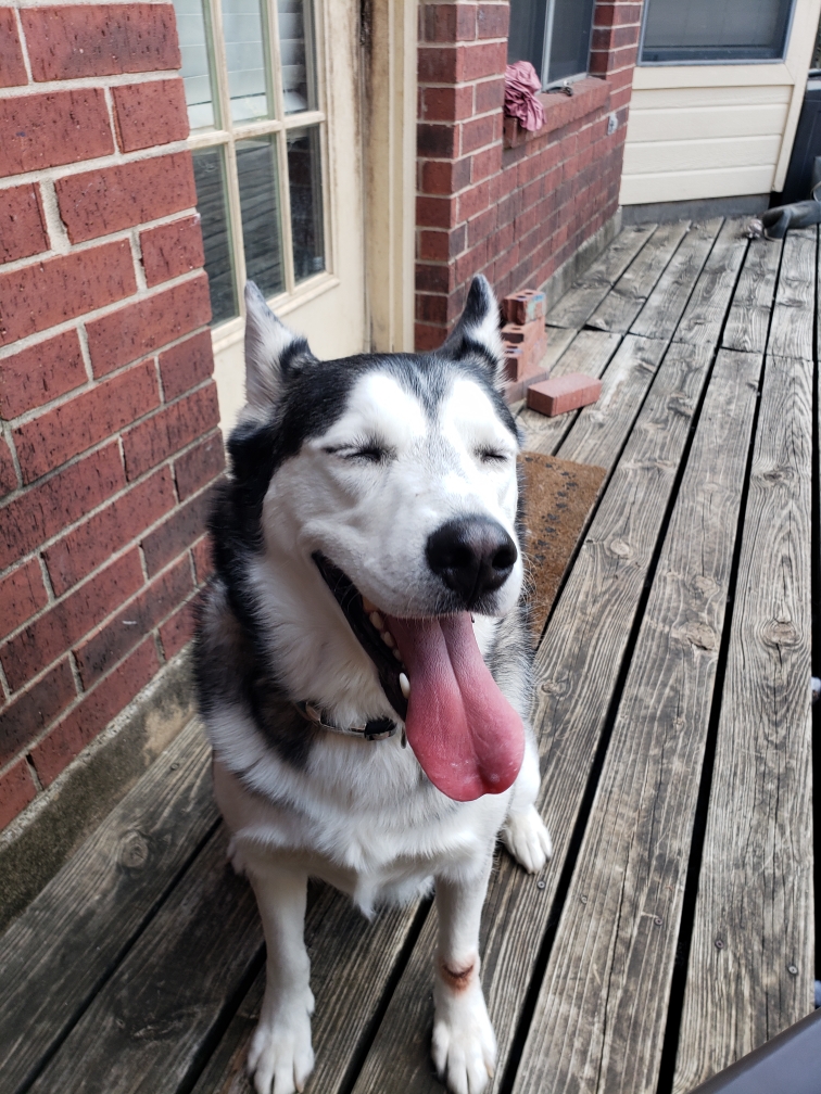 Resized_20180816_191743.jpeg