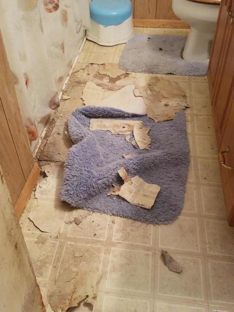 Resized_20180918_211709.jpeg
