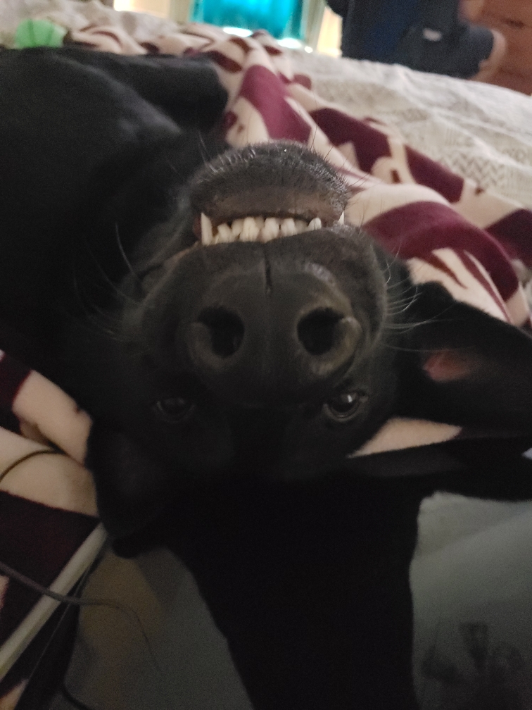 Resized_20180923_133707.jpeg