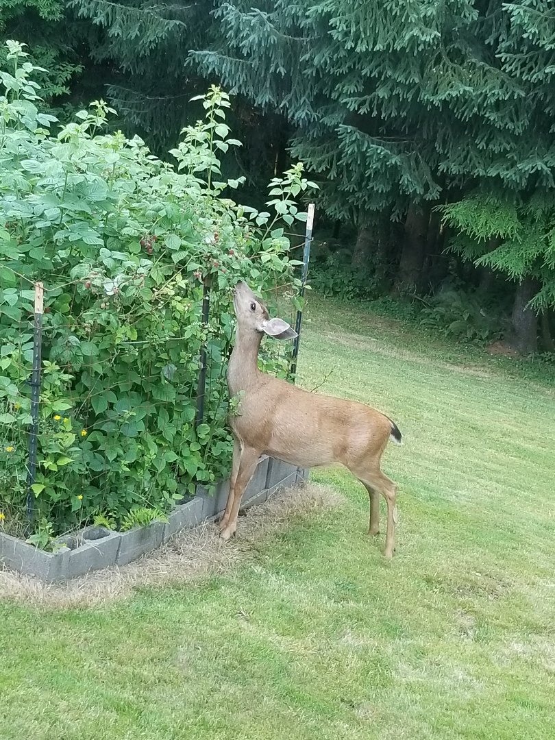 Resized_20190712_195943(1).jpeg