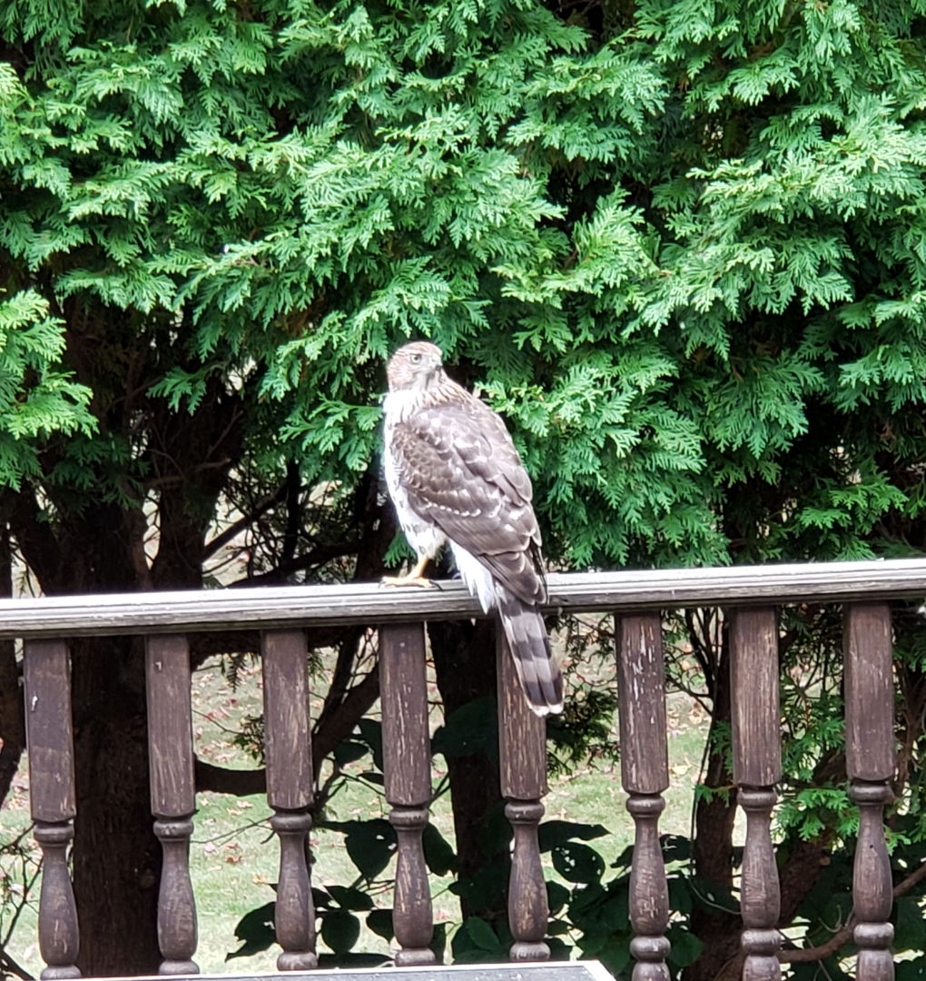 Resized_20190929_121901.jpeg