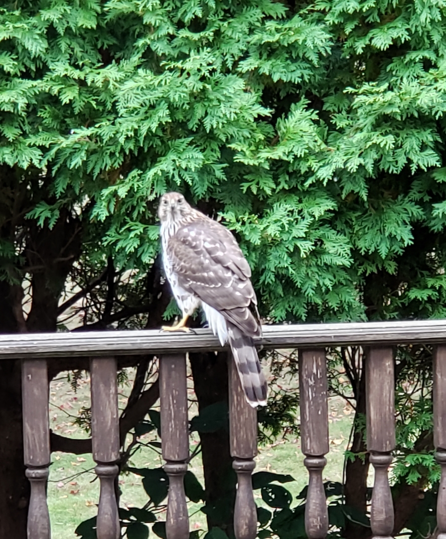 Resized_20190929_121923.jpeg