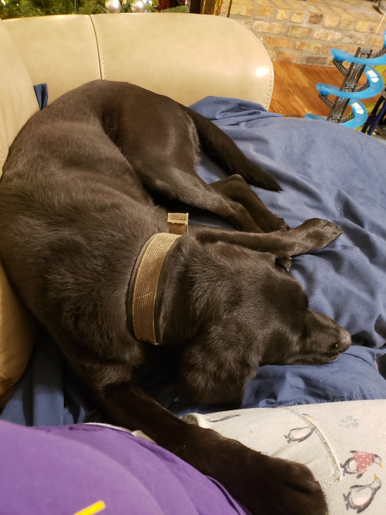 Resized_20201226_191740.jpeg