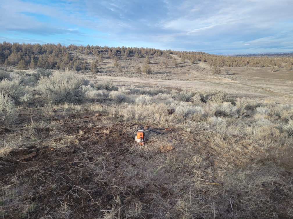 Resized_20230122_151654.jpeg