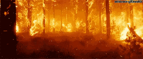 ResizedP_received_779490089388976.gif