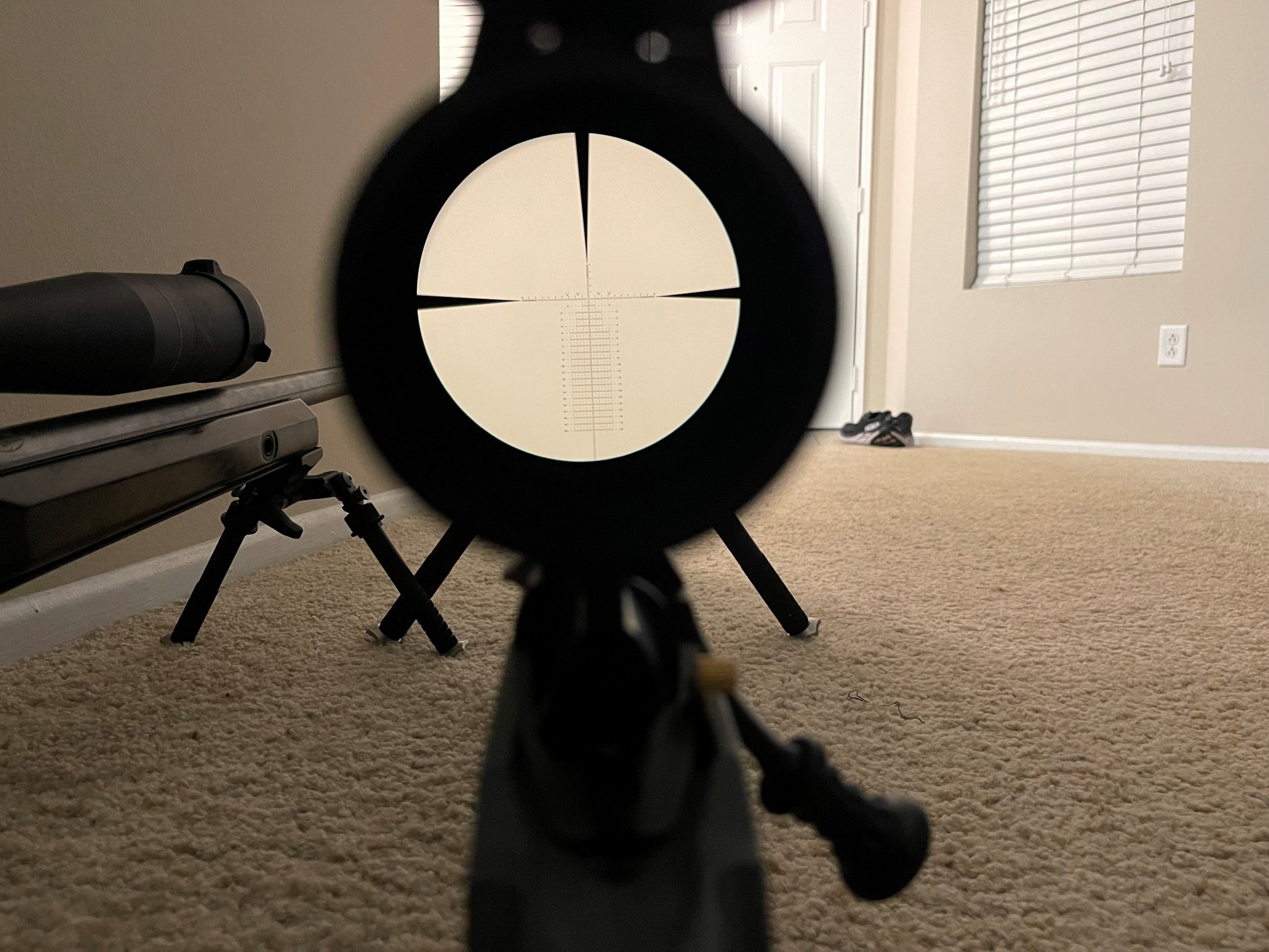 reticle.jpg